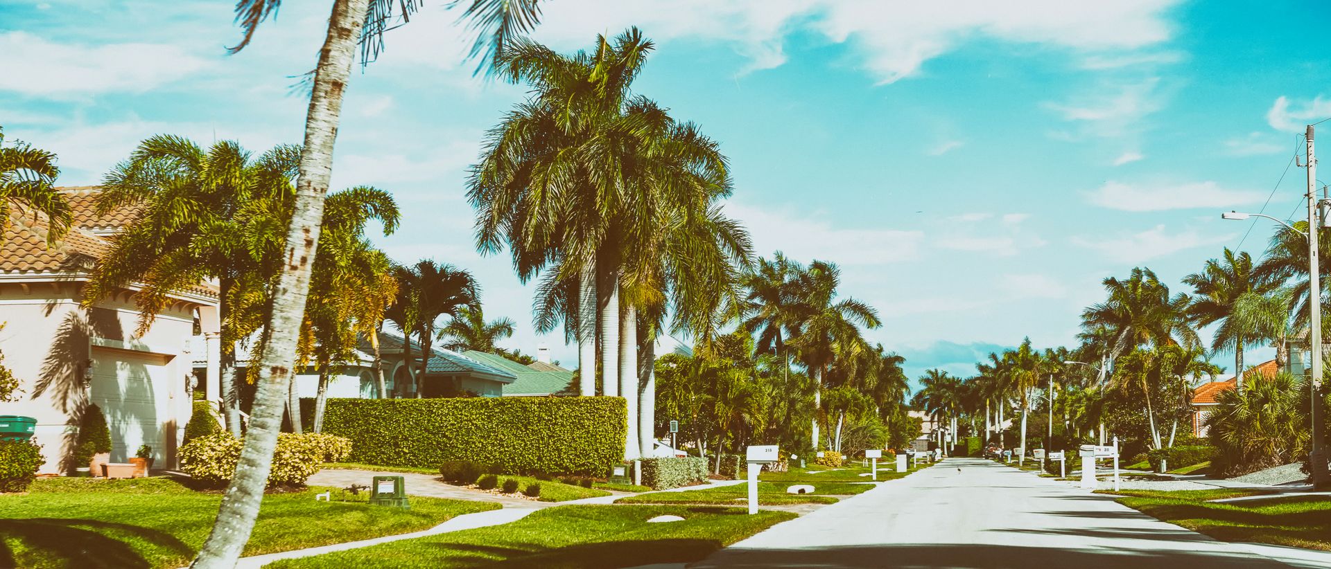 A palm lined residential street in Northern Palm Beach County